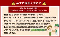 OKADA TEXTILE バイカラ―バック(ブラック×キャメル）【ポイント交換専用】