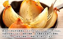【環境に優しくおいしい！！】北海道長沼産玉ねぎＬ大サイズ10kg