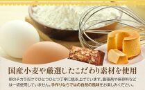 鎌倉しふぉんのシフォンケーキ　ホール（プレーン）1個とフルーツケーキ1本 ｜ ケーキ シフォンケーキ シフォン スイーツ お菓子 おかし 洋菓子 お取り寄せ ケーキ通販 人気 おすすめ デザート ギフト プレゼント 食べ比べ ふわふわ 送料無料 神奈川 鎌倉  