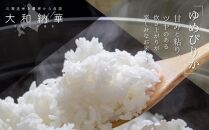 【定期便】 ゆめぴりか 無洗米 5kg×9ヶ月_00813