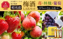 【日本酒ベースの果汁梅酒】 蝦夷蔵 梅酒 LAB.セット（苺・林檎・葡萄）