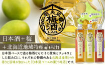 【日本酒ベースの果汁梅酒】 蝦夷蔵 梅酒 LAB.セット（苺・林檎・葡萄） 【 梅酒 日本酒 飲み比べ セット いちご りんご ぶどう アルコール お酒 限定 お取り寄せ 旭川市 北海道 送料無料 】_01106