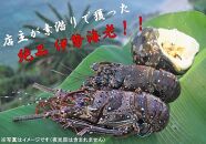 【漁師直送】活き〆冷凍　特大天然伊勢海老１ｋｇ（１～２尾）【ポイント交換専用】