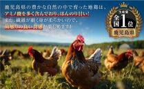 【鹿児島県産】地鶏食べ尽くしセット（鶏さし（半身）・ごて焼き・炭火焼鳥）