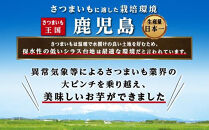 【緊急支援品】冷凍焼芋（紅はるか）&nbsp;国産&nbsp;焼き芋&nbsp;焼芋&nbsp;やきいも&nbsp;ヤキイモ&nbsp;紅はるか&nbsp;べにはるか&nbsp;ベニハルカ&nbsp;スイーツ&nbsp;デザート&nbsp;ふるさと納税&nbsp;鹿児島県&nbsp;大崎町