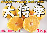 【数量限定】果汁たっぷりの加温大将季（だいまさき）３kg
