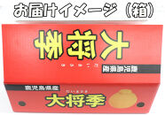 【数量限定】鹿児島が誇るブランドみかん 大将季（だいまさき）３kg