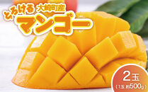 【JA大崎選果場厳選】「大崎産マンゴー2026」&nbsp;おおよそ500g×2玉