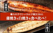 鹿児島県大隅産　千歳鰻の白焼4尾・蒲焼き4尾