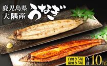 鹿児島県大隅産　千歳鰻の白焼5尾・蒲焼き5尾