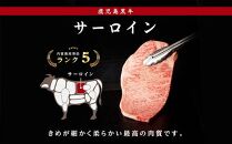 鹿児島黒牛サーロインステーキ（1枚）・すきやきセット（800g）（H-701）