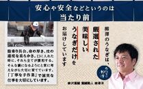 うなぎの柳澤　うなぎ蒲焼4尾セット