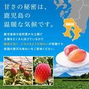 大崎町産　南国の恵み　冷凍完熟マンゴー