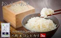【令和7年産】八町米&nbsp;コシヒカリ５Kg　米&nbsp;お米&nbsp;白米&nbsp;産地直送&nbsp;農家直送&nbsp;精米&nbsp;美味しい