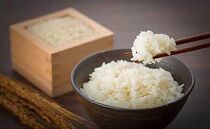 【令和7年産】八町米&nbsp;コシヒカリ１０Kg　米&nbsp;お米&nbsp;白米&nbsp;産地直送&nbsp;農家直送&nbsp;精米&nbsp;美味しい