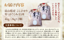 【令和7年産】厳選&nbsp;　富山県産こしひかり　育（はぐくみ）白米２個セット　2kg×2個《南砺の逸品》