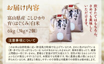 【令和7年産】富山県産こしひかり　育（はぐくみ）白米２個セット&nbsp;3kg×2個&nbsp;《南砺の逸品》