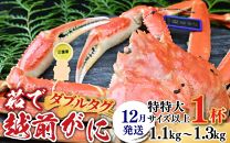 【12月発送限定】茹で越前がに 1杯 1.1kg～1.3kg《新鮮！茹でたてを発送》／ 高級 福井 ブランド ズワイガニ 黄色タグ ボイル 冷蔵 蟹 カニ 期間限定【年内発送受付 12月23日まで】