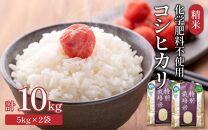 【令和6年産】 化学肥料不使用コシヒカリ 精米10kg（5kg×2袋） / 白米 米 福井県あわら市産 美味しい 特別栽培米 減農薬 安心な米 旨味 甘み もっちり エコファーマー こしひかり 冷蔵保管米 新米