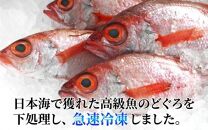 【真鯛の頭付き】煮てよし焼いてよし！ 日本海産のどぐろ 5パック ／  高級魚 ビール 煮魚 焼き魚 おつまみ 魚介類 海の幸 国産 個包装 お取り寄せ