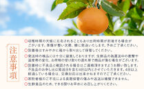 有田みかん&nbsp;しにせの味&nbsp;約3kg&nbsp;2S～2Lのいずれか&nbsp;秀品または優品