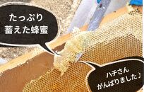 ありだみかん蜂蜜 2本セット（570ｇ×２本）