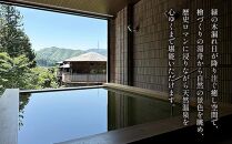 歴史ロマンの湯 しみず温泉 大人 入館券 11回分 入浴チケット 温泉利用券 観光 日帰り