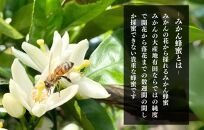 ありだみかん蜂蜜（570ｇ／化粧箱入り）