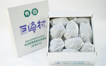 有田産&nbsp;巨峰&nbsp;約&nbsp;3kg&nbsp;有田&nbsp;巨峰村&nbsp;森下農園&nbsp;ぶどう&nbsp;送料無料&nbsp;フルーツ