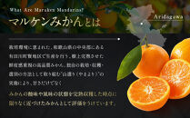 【賢宝】マルケンみかん果汁100％ジュース　（化粧箱／7本入り）もぎたてみかん味のストレートジュース