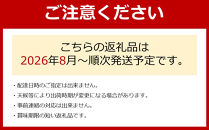 ［先行予約］[産直]有田巨峰村の朝採り巨峰　約2kg★2026年8月中旬頃より順次発送