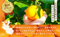 ［秀品］有田のブランドみかん「賢みかん」5kg（サイズおまかせ）［2026年11月中旬頃より順次発送］