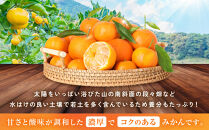 [秀品]有田のブランド「賢みかん」10kg(Mサイズ)［2026年11月中旬頃より順次発送］