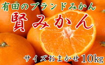 [秀品]有田のブランドみかん「賢みかん」10kg(サイズおまかせ・赤秀品)