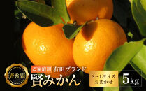 有田のブランド「賢みかん」5kg(S～Lサイズおまかせ）ご家庭用［2026年11月中旬頃より順次発送］