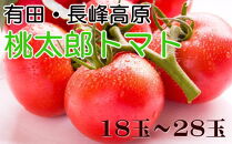 【先行予約】長峰高原・有田産の桃太郎トマト約4kg（18玉～28玉入り）