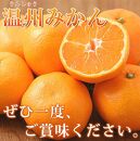 紀州有田産濃厚甘熟温州みかん5kg【先行予約】【UT09w】