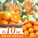 完熟有田みかん　10kg【先行予約】【UT11w】