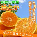 紀州有田産せとか約3kg　とろける食感！ジューシー柑橘【2025年2月下旬以降発送】【先行予約】【UT03w】