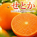 紀州有田産せとか約3kg　とろける食感！ジューシー柑橘［2027年3月上旬以降発送］［先行予約］［UT03w］