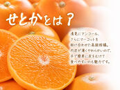 紀州有田産せとか約3kg　とろける食感！ジューシー柑橘［2027年3月上旬以降発送］［先行予約］［UT03w］