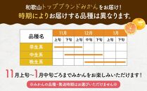 農家直送！濃厚有田みかん5kg【Ｓサイズ】／みかんの本場和歌山有田より11月中旬～発送予定