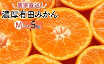 濃厚有田みかん5kg【Mサイズ】みかんの本場和歌山有田より農家直送！／11月中旬～発送予定