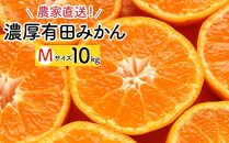 濃厚 有田 みかん 10kg【Mサイズ】【先行予約】みかんの本場和歌山有田より農家直送！／11月中旬～発送予定