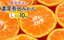 濃厚 有田 みかん 10kg【Lサイズ】【先行予約】みかんの本場和歌山有田より農家直送！／11月中旬～発送予定