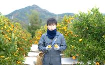 年内発送&nbsp;完熟早生&nbsp;有田みかん&nbsp;化粧箱&nbsp;特秀&nbsp;小玉&nbsp;SS&nbsp;サイズ&nbsp;54玉入&nbsp;和歌山&nbsp;南泰園&nbsp;みかん