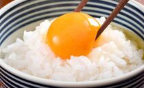 【令和7年産】【定期便3回】【南魚沼炊合せ】南魚沼しおざわ産コシヒカリ2Kg　雪譜みそ450ｇセット