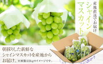 シャインマスカット 約2kg  (3房～5房) 有田巨峰村 【朝採 新鮮】■2025年発送■※8月中旬頃から9月下旬頃まで順次発送予定