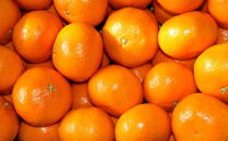 [秀品]和歌山有田みかん5kg&nbsp;(S～Lサイズおまかせ)&nbsp;★2026年11月中旬頃より順次発送