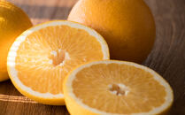 こだわりの和歌山有田産木成り熟成さつき八朔約7.5Kg(M～２Lサイズおまかせ)&nbsp;★2026年3月下旬頃より順次発送